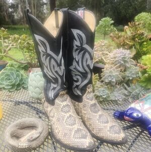 Cowtown Rattlesnake Cowboy Boots with Black and Gray Embroidery